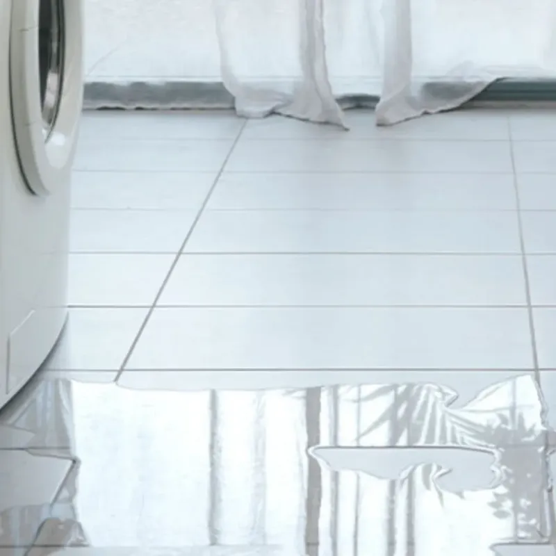 Appliance Leak Cleanup in Tontitown, AR