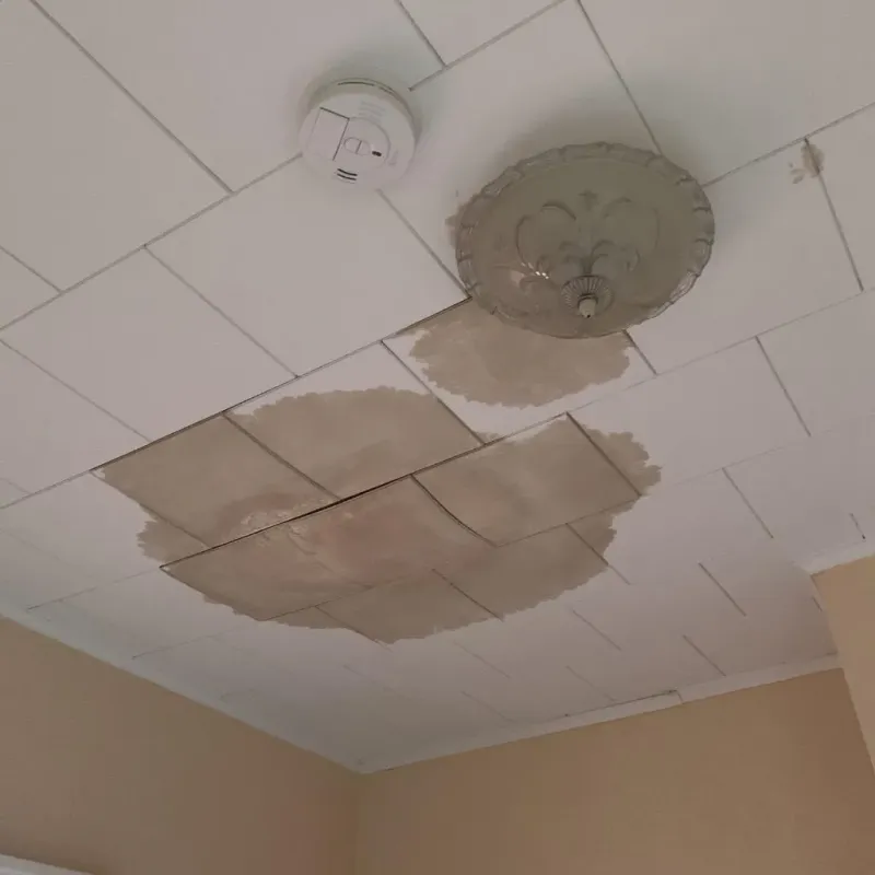 Ceiling Water Damage Repair in Tontitown, AR