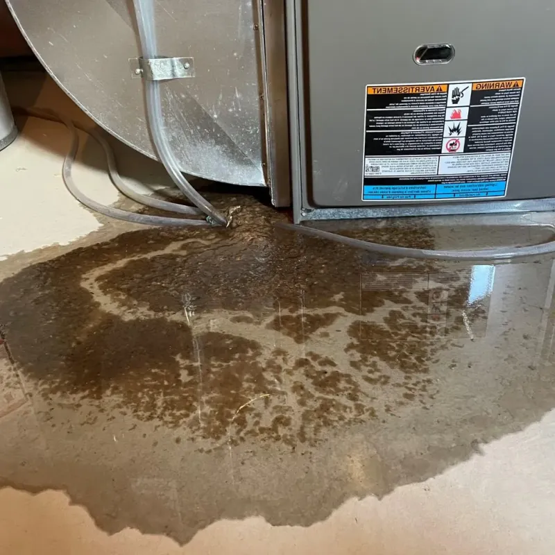 Pipe Burst and Leak Restoration in Tontitown, AR