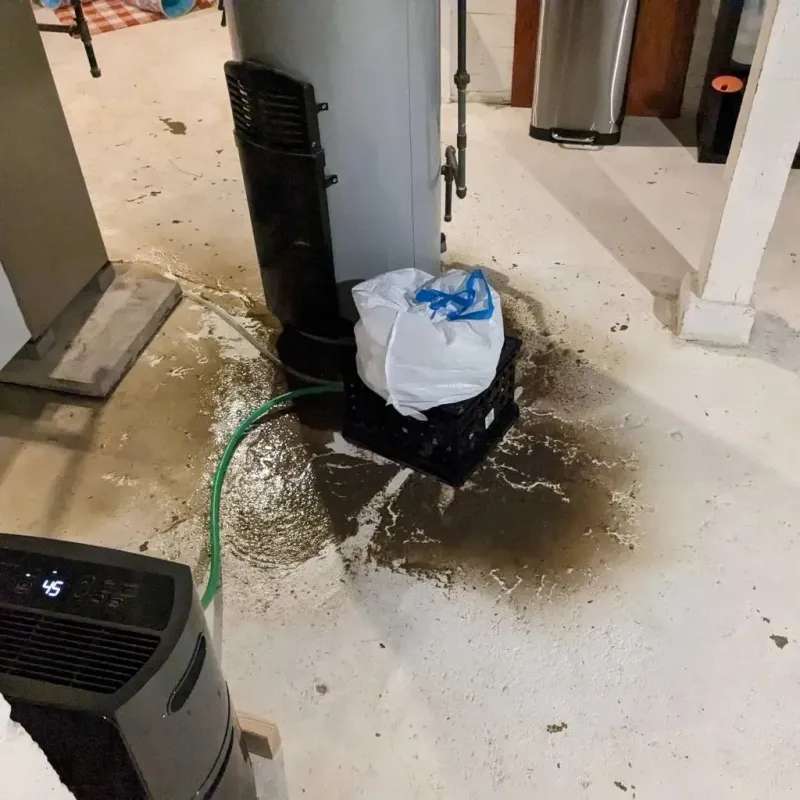 Sewage Backup Cleanup Service in Tontitown, AR
